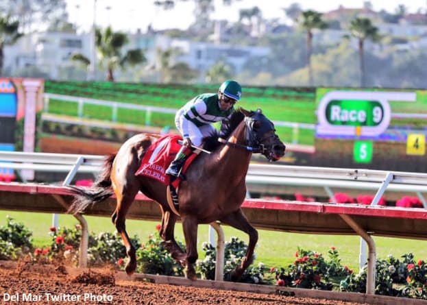 early Del Mar trends