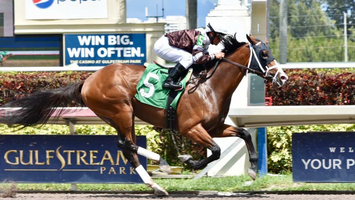 keepikeeping horseracing simpleng in simple in horseracing