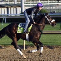 2018 Preakness Stakes Odds: Three Free Longshot Betting Picks