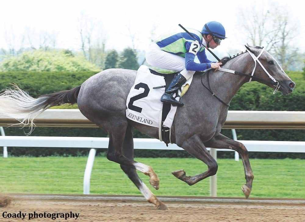 Schuylerville Stakes