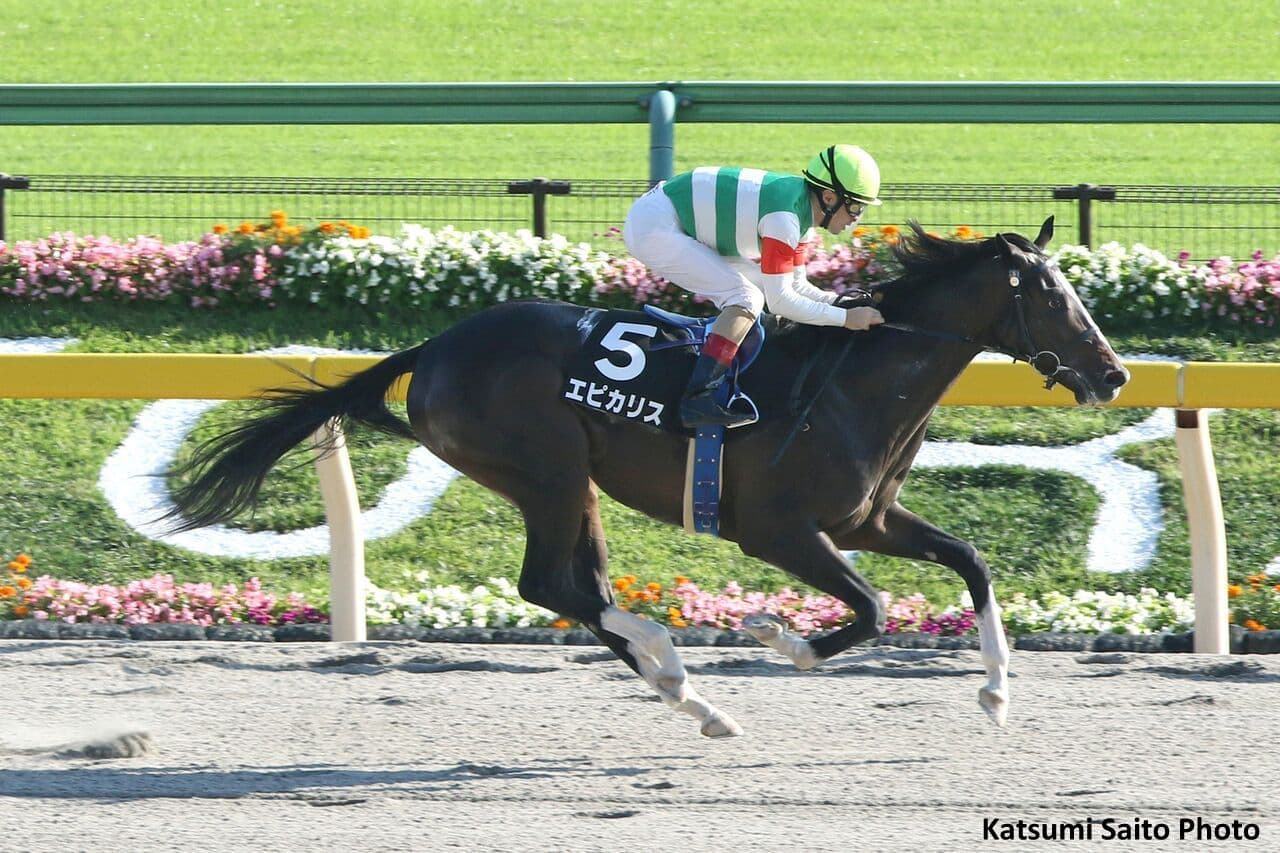 right Belmont Stakes style