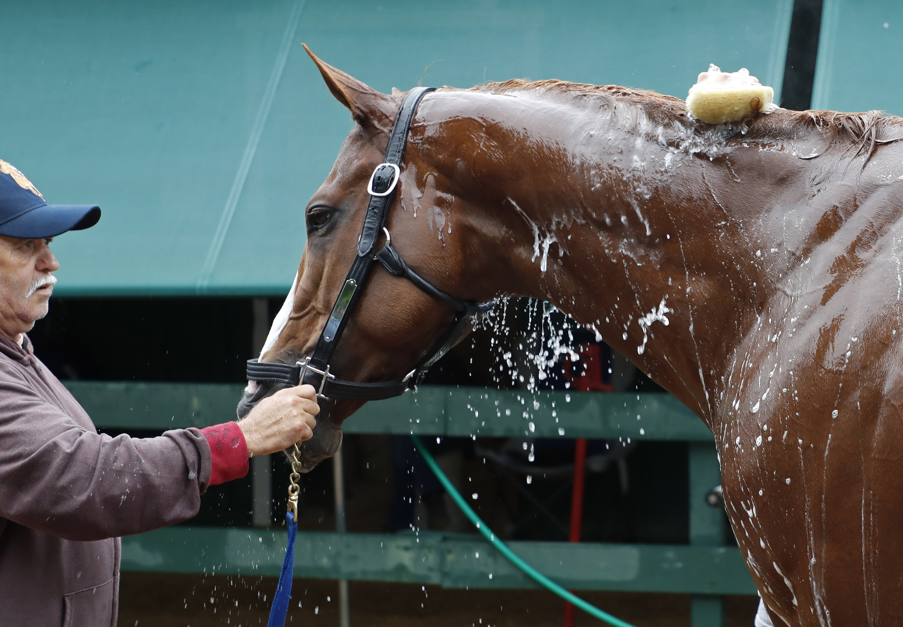 All factors appear to favor Justify to win the Preakness and continue his Triple Crown quest