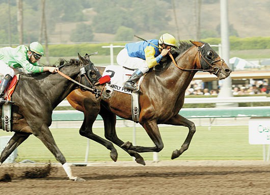 Swinging for the fences in horseracing