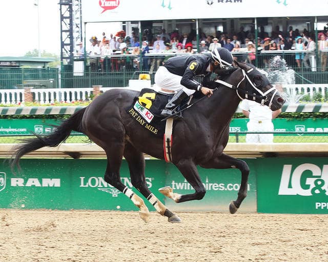 Churchill Downs trends